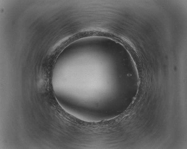 X0000062130872200512161149