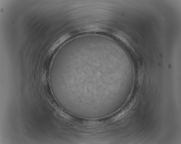 X0000062130873200512161149