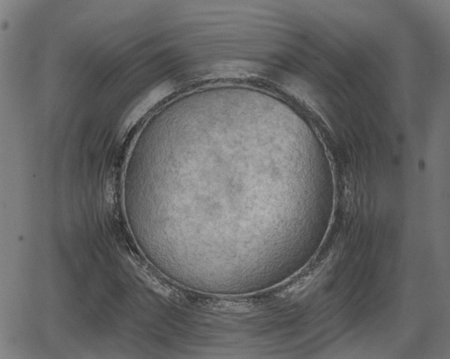 X0000062130874200512161149