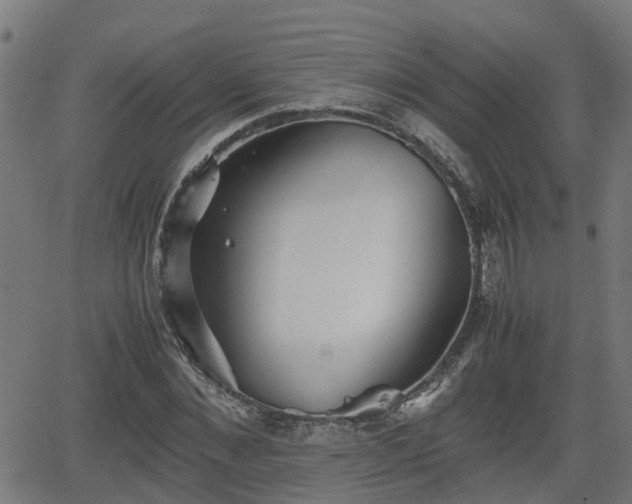 X0000062130876200512161149