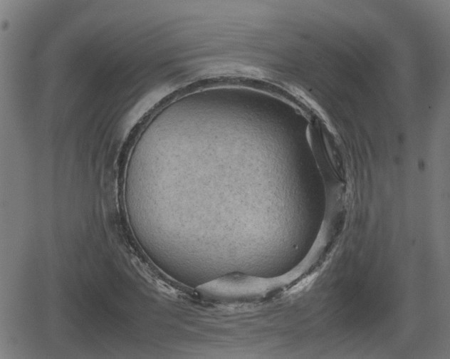 X0000062130877200512161149