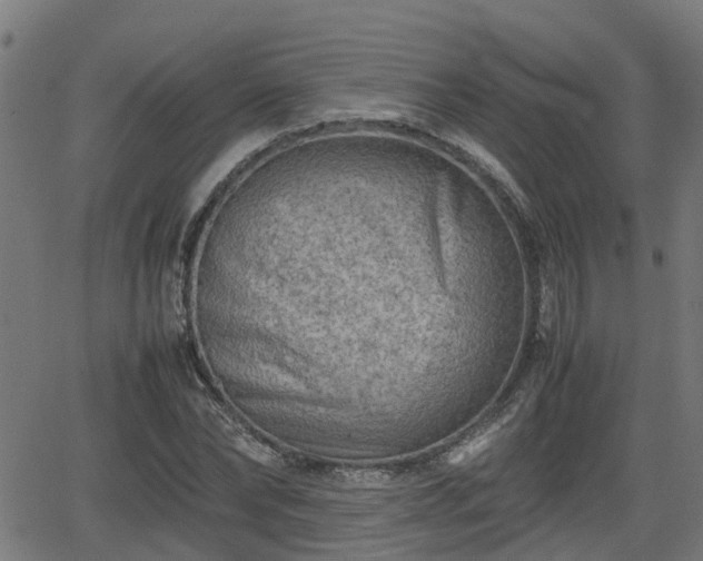 X0000062130878200512161149