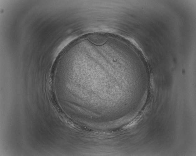 X0000062130879200512161149