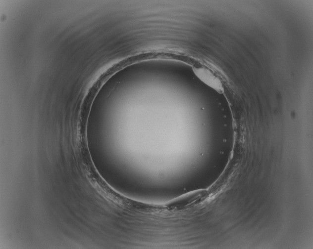 X0000062130880200512161149