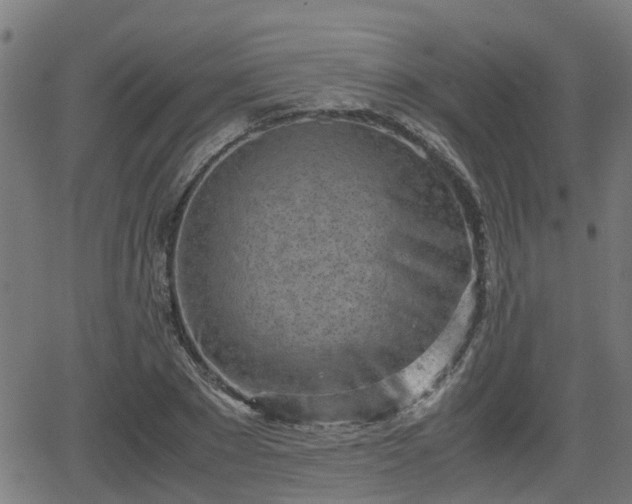 X0000062130881200512161149