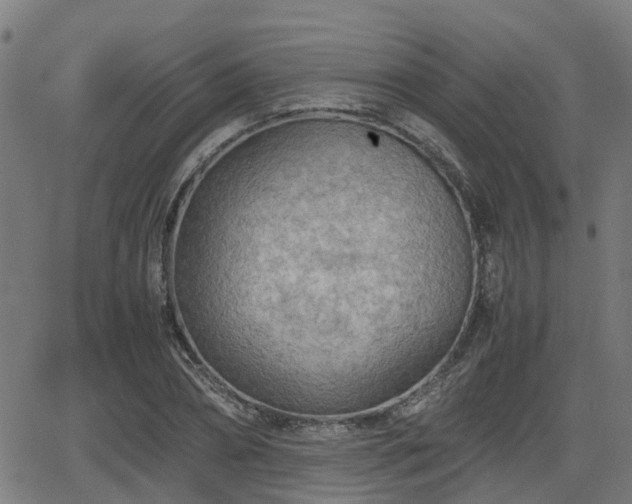 X0000062130882200512161149