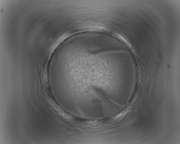 X0000062130883200512161149