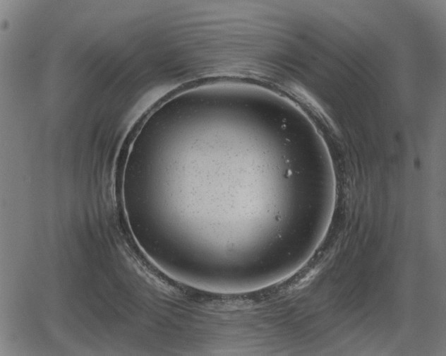 X0000062130884200512161149