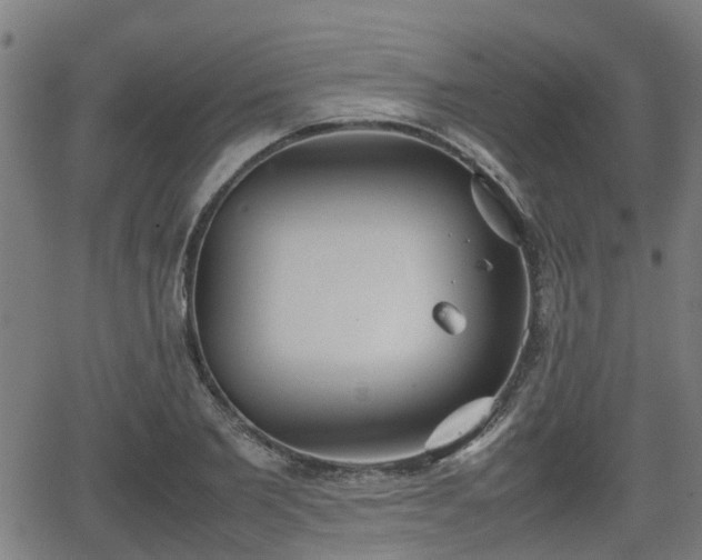 X0000062130885200512161149