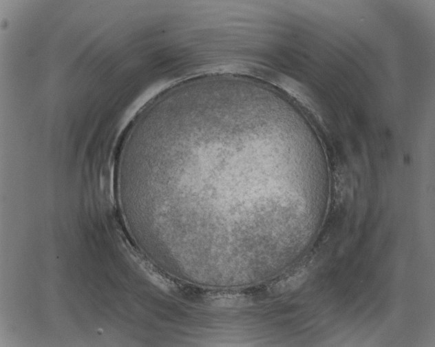 X0000062130886200512161149