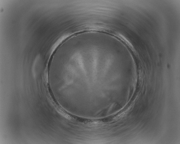 X0000062130891200512161149