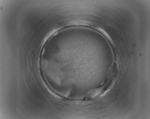 X0000062130893200512161149