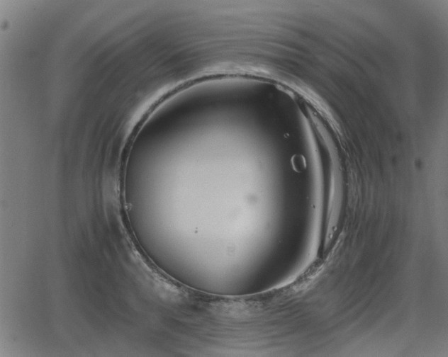 X0000062130896200512161149