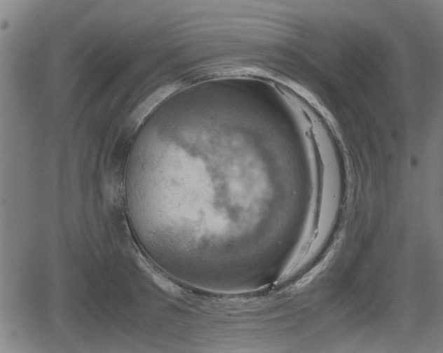 X0000062130897200512161149