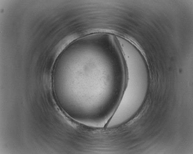 X0000062130898200512161149