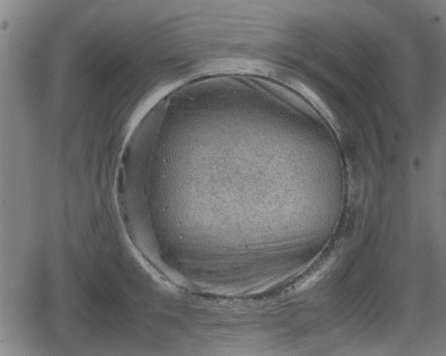 X0000062130901200512161149