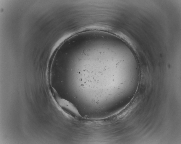 X0000062130902200512161149