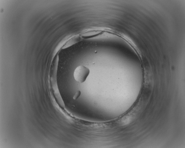 X0000062130906200512161148