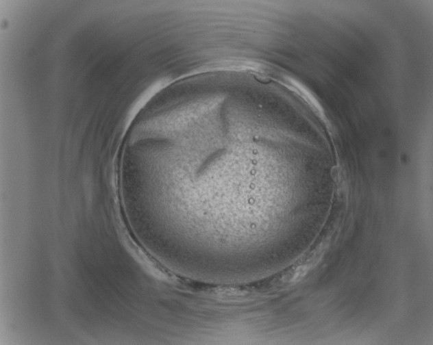 X0000062130907200512161148