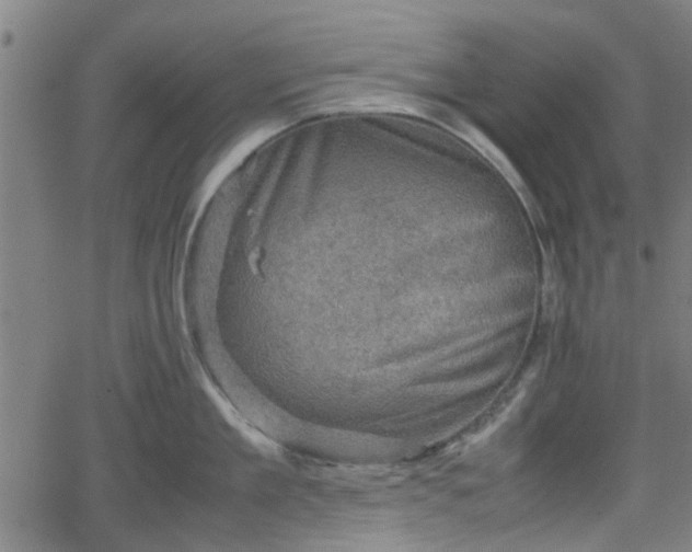 X0000062130909200512161148