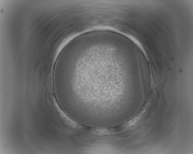 X0000062130911200512161148