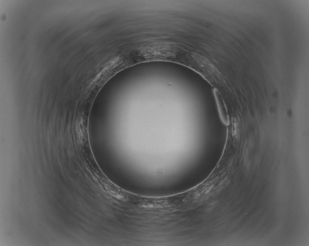 X0000062130915200512161148