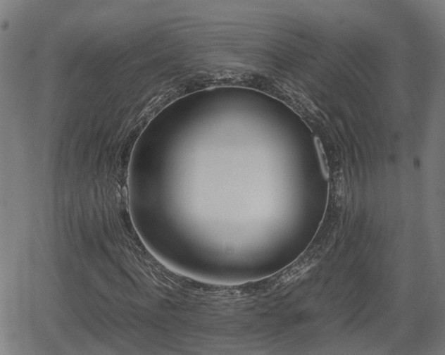 X0000062130916200512161148