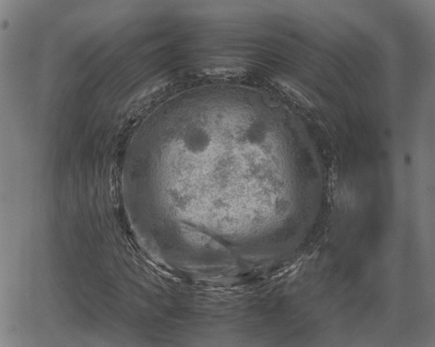 X0000062130917200512161148