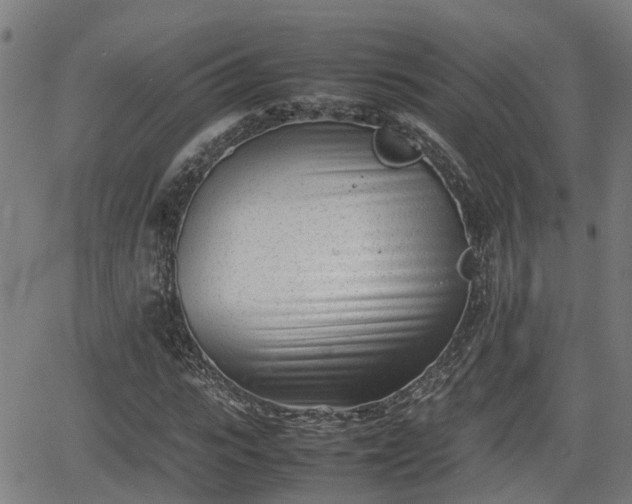 X0000062130919200512161148