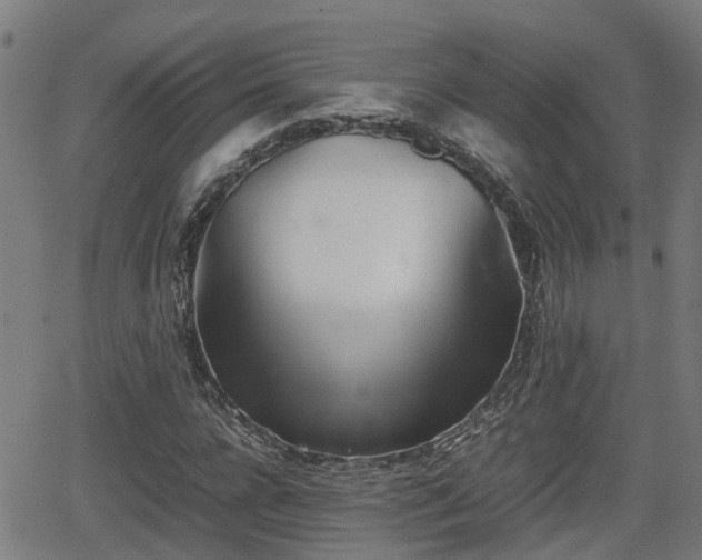 X0000062130920200512161148