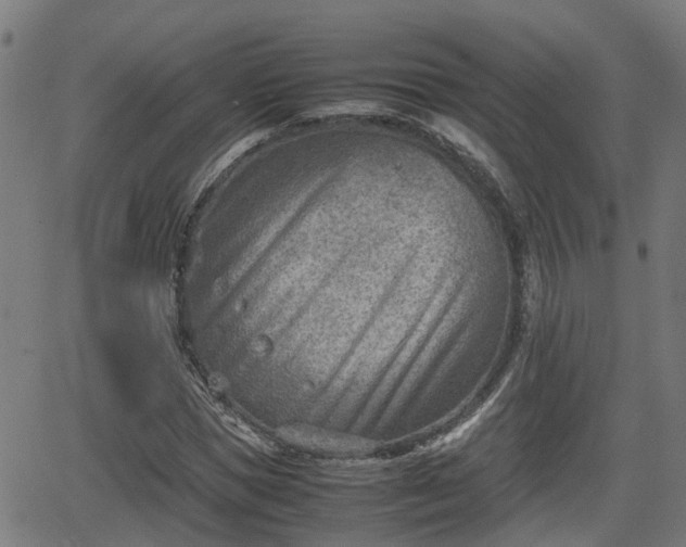 X0000062130921200512161148