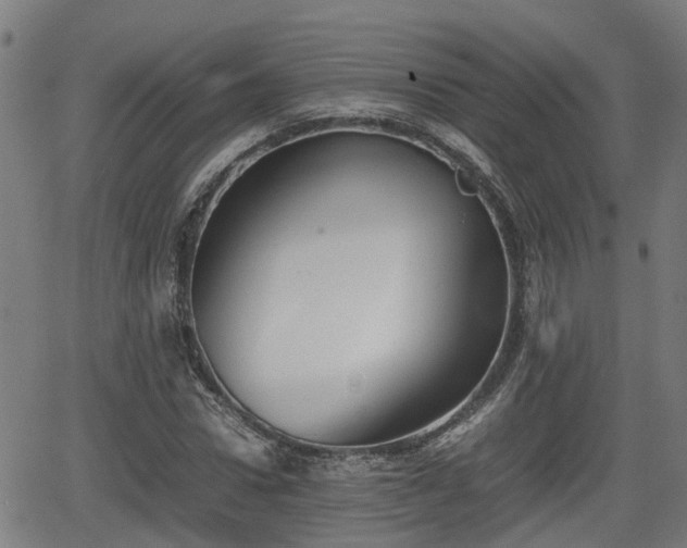 X0000062130922200512161148