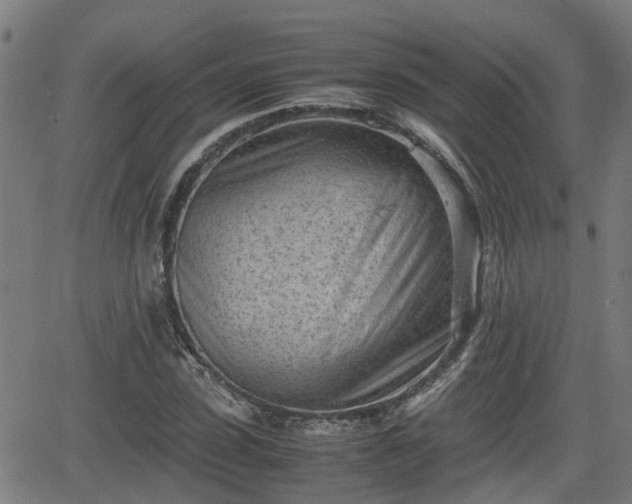 X0000062130923200512161148