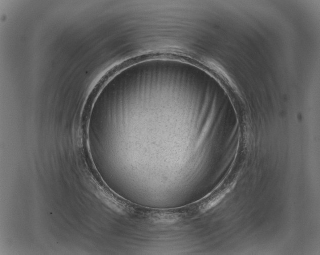 X0000062130924200512161148