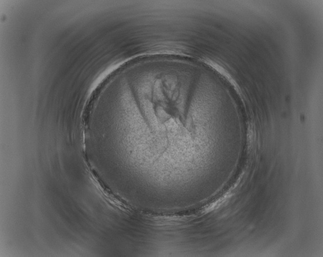 X0000062130925200512161148