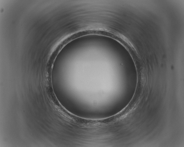 X0000062130926200512161148