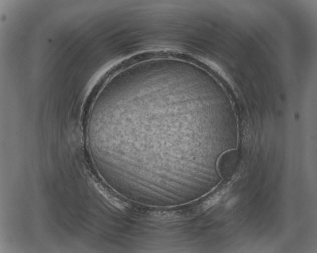 X0000062130927200512161148