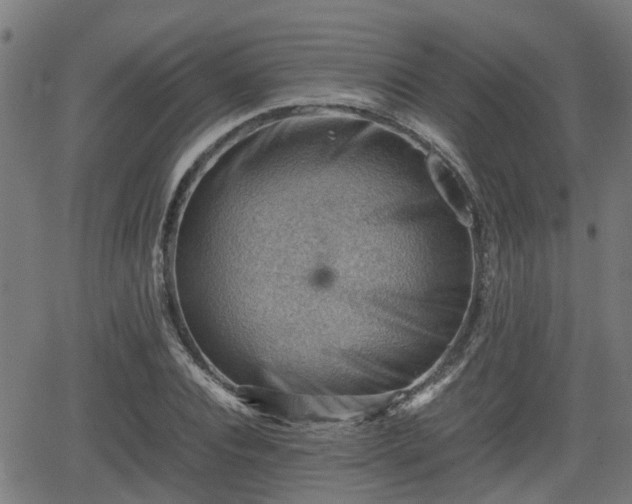 X0000062130928200512161148