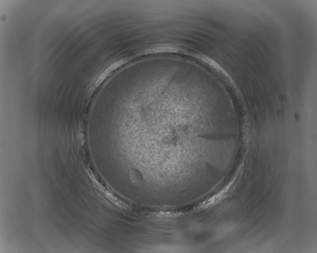 X0000062130929200512161148