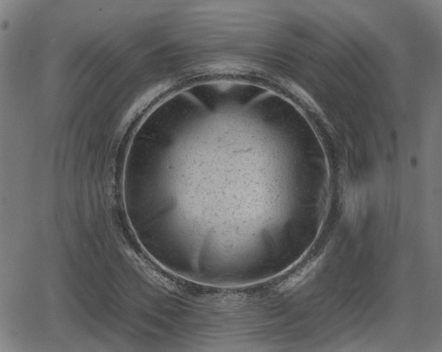 X0000062130930200512161148