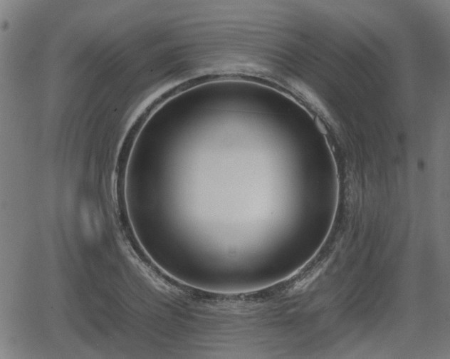 X0000062130932200512161148