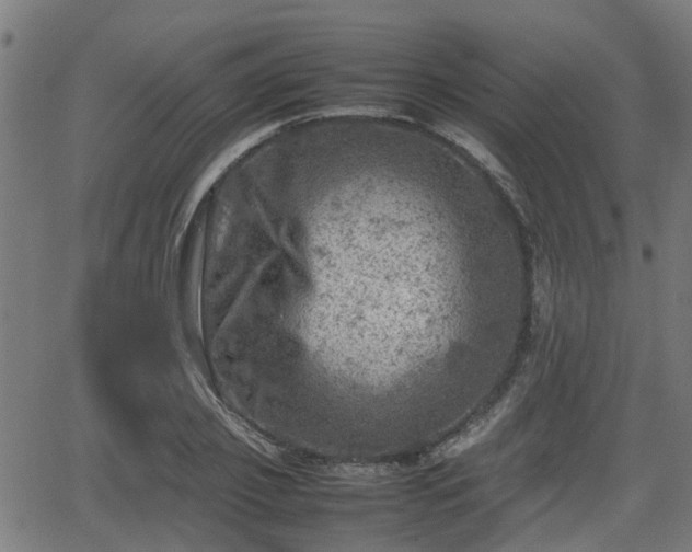 X0000062130933200512161148