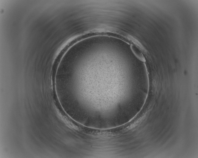 X0000062130934200512161148