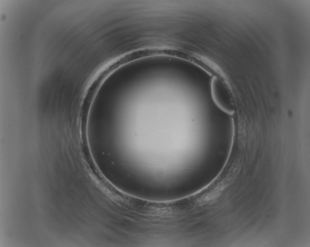 X0000062130935200512161148