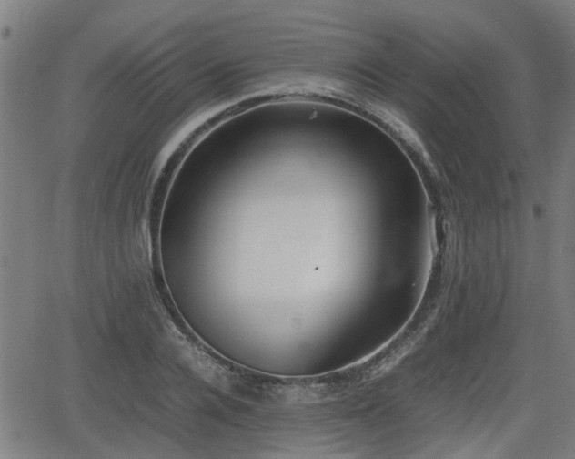 X0000062130936200512161148