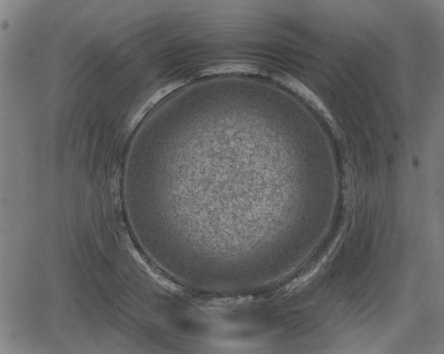 X0000062130937200512161148