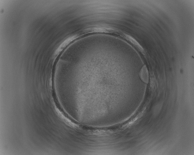 X0000062130938200512161148