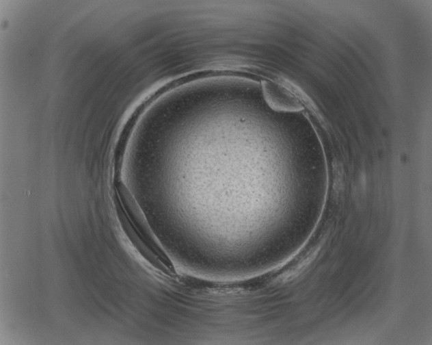 X0000062130939200512161148