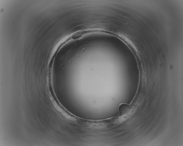 X0000062130941200512161148