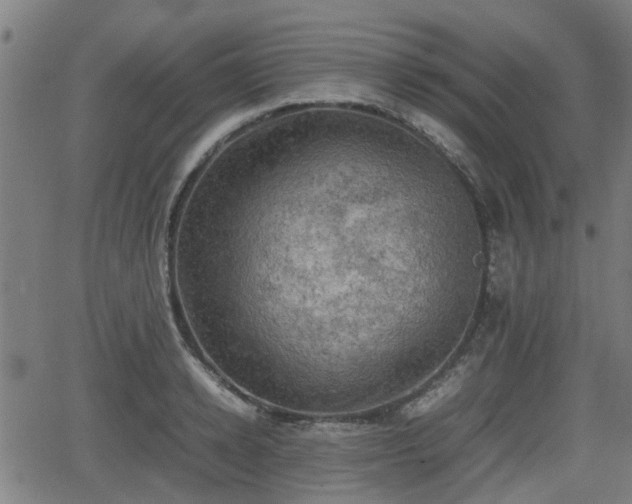 X0000062130942200512161148